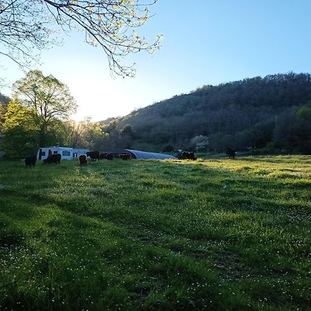 Ferme Les Therondels Saint-Pons-de-Thomieres Kültér fotó