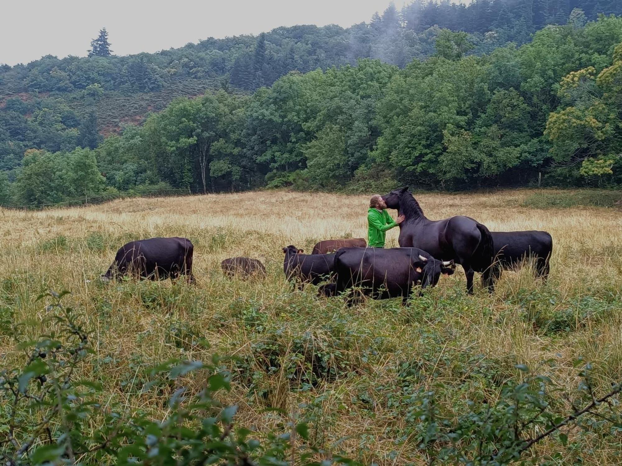 Ferme Les Therondels Saint-Pons-de-Thomieres Kültér fotó
