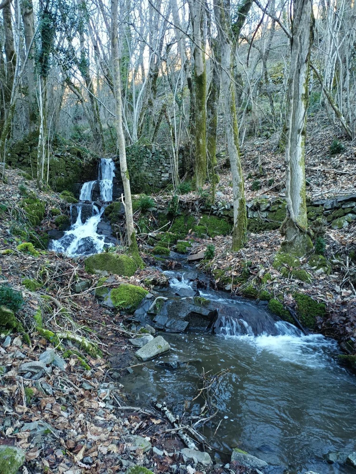 Ferme Les Therondels Saint-Pons-de-Thomieres Kültér fotó